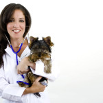 Get Only the Best Animal Care in Cedar Rapids, IA