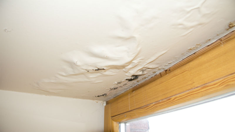 Tips for Water Damage Restoration in Tampa