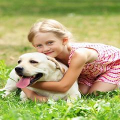 Top Benefits Of Professional Dog Grooming In Elkhorn NE