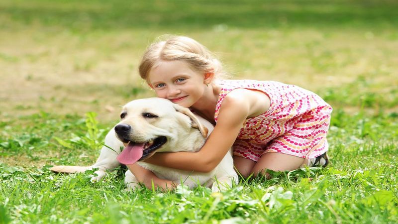 Top Benefits Of Professional Dog Grooming In Elkhorn NE