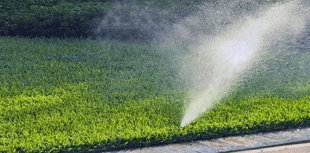 Sprinkler Repair in Spokane to Keep Lawns Healthy in an Arid Climate