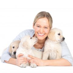 Services Offered at a Dog Grooming Center in Parkville, MO