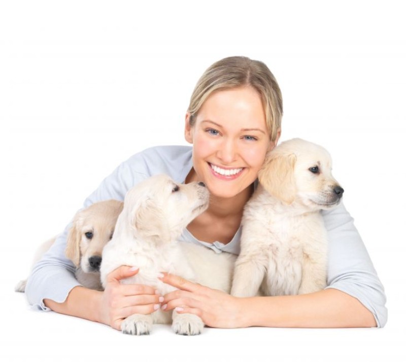 Services Offered at a Dog Grooming Center in Parkville, MO