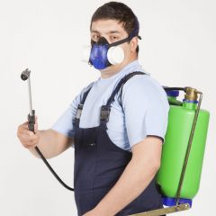 Tips For Selecting Quality Coronavirus Cleaning Services