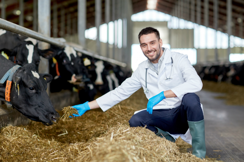 Mmmmm! BEEF! Raising Your Quality Herd for Food Starts With the Right Breed