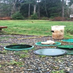 Frequently Asked Questions And The Answers About Septic Services In Port Orchard WA