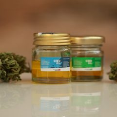 2 Reasons Why You Should Try Medical Marijuana to Find Relief in WA