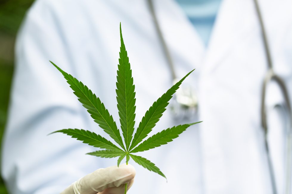 What To Expect On Your First Medical Marijuana Doctor Visit