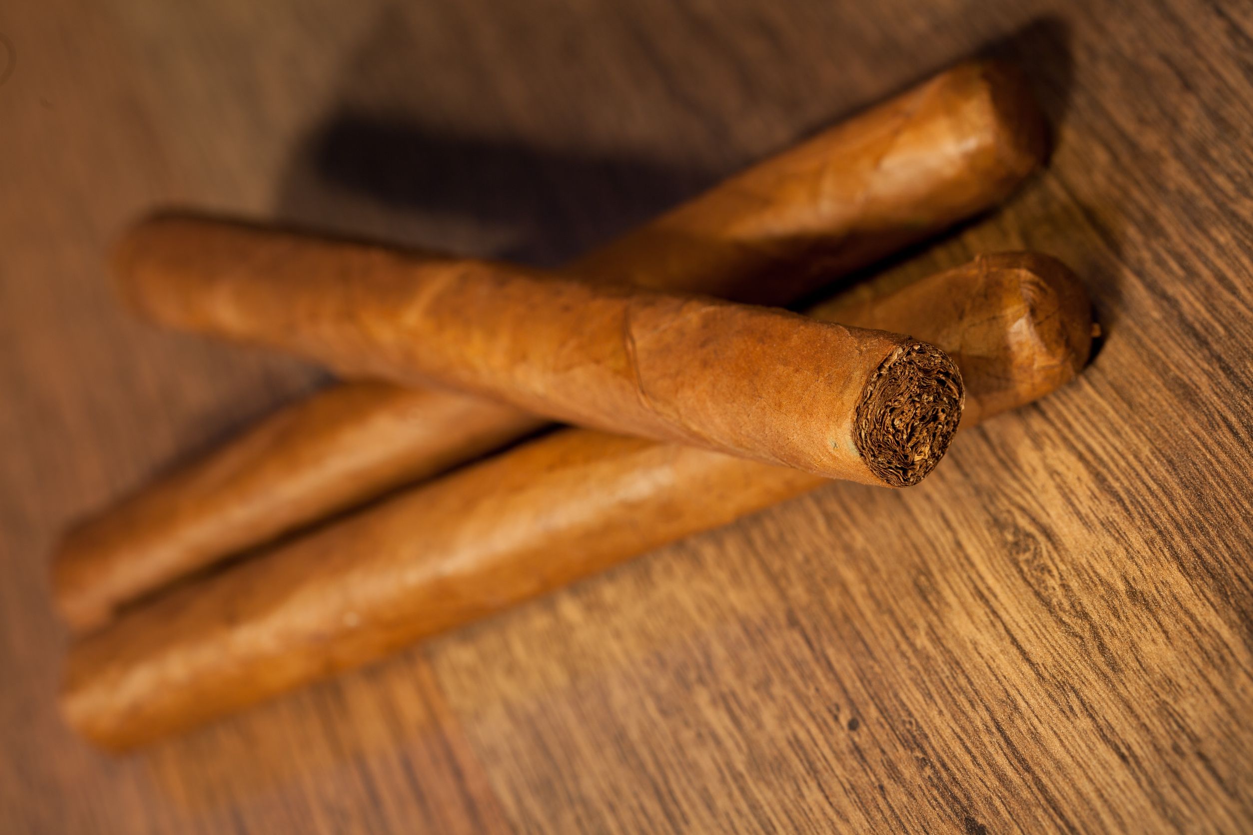 Torcedoras’ Skilled Art Of Rolling Villiger Cigars In London