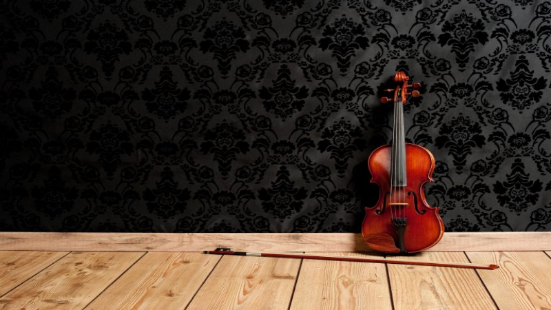 What to Expect From a Violin Shop in Atlanta, GA