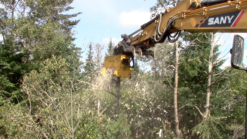 A Mini Excavator Mulcher is a High-Quality Device That Can Save You Time