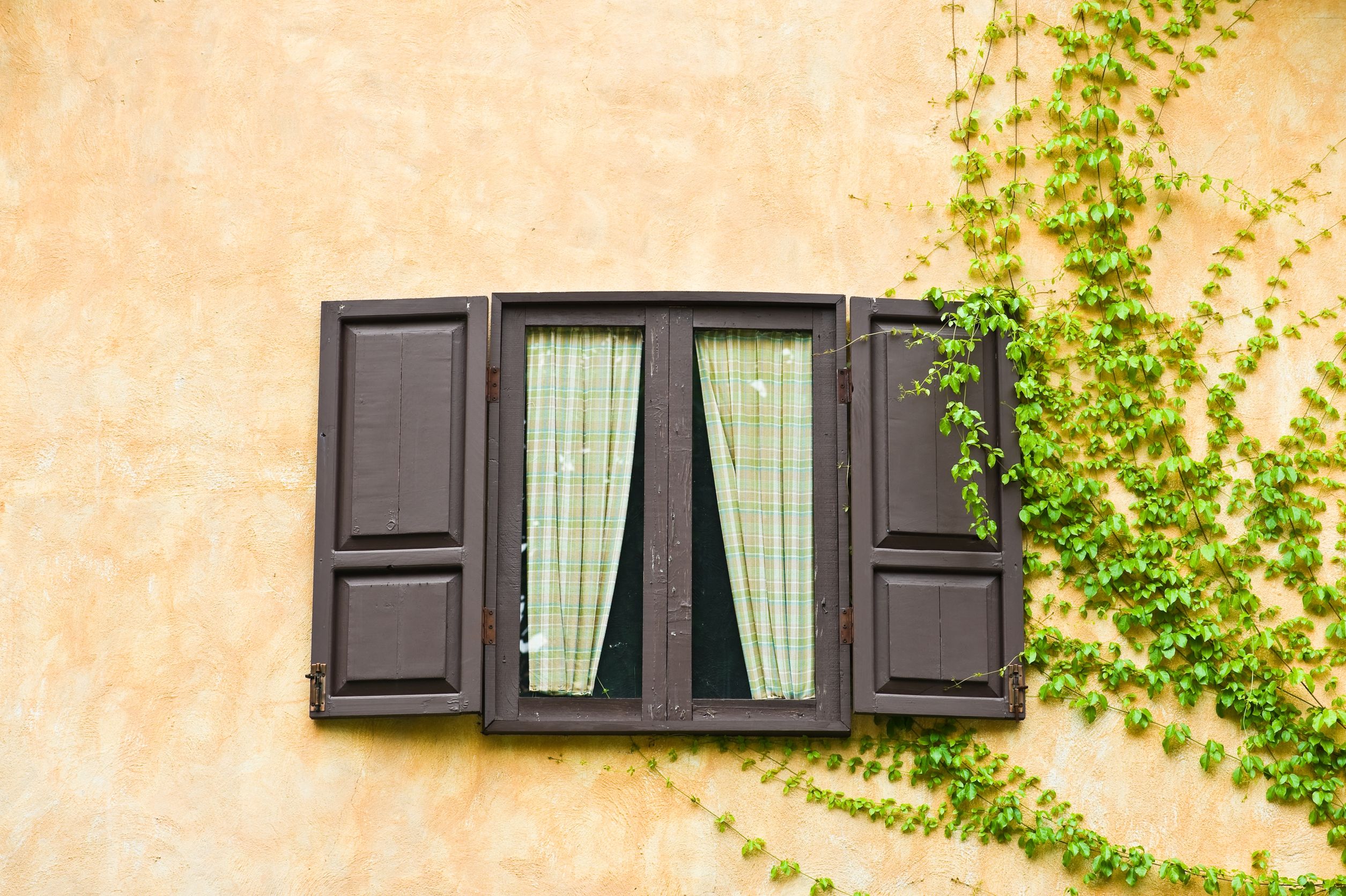 How to Choose a Window Drapes Store in Lakeland, FL