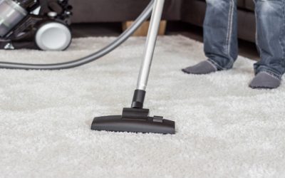 Quality Carpet Cleaning Near Naples Keeps It Looking New