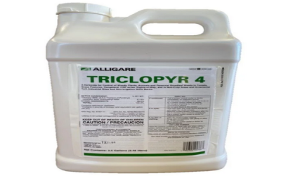 Herbicides With Triclopyr: Effective Solutions for Vegetation Control