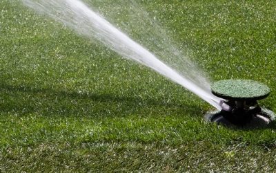 Efficient Systems, Vibrant Yards: Irrigation Maintenance in Spring Hill, FL