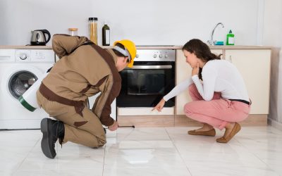 Expert Pest Solutions: Choosing a Professional Pest Control Company in Rochester, MN