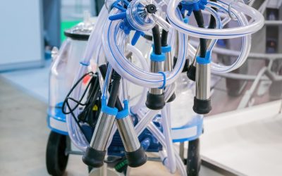 Maximize Energy Efficiency in Your Projects With Ceramic Fiber Houston, TX Solutions