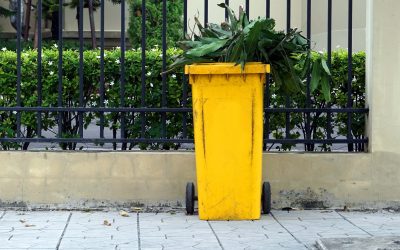 Choosing the Right Local Dumpster Rental Company in Portsmouth, VA, for Your Project Needs