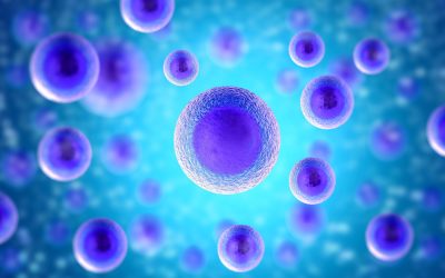 Transform Your Well-being with Hormone Replacement Therapy Glen Rock NJ