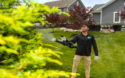 Effective Mosquito Yard Treatment: Keep Haymarket VA Homes Pest-Free