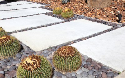 Transform your outdoor space with xeriscape landscape design Aurora CO for water savings