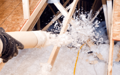 Find Reliable Blown-In Insulation Contractors Near Loveland, CO Today