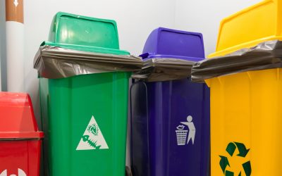 How to choose the right commercial dumpster in Morrow, GA supports cost-effective waste management