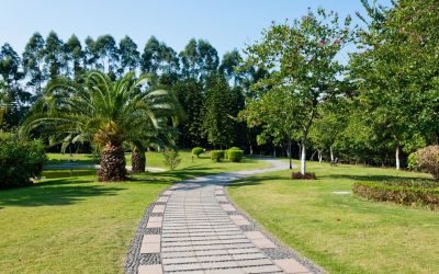 Improve Curb Appeal Effortlessly Using Landscape Stone Companies Near Sussex, WI
