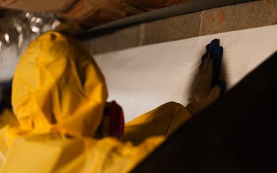 Why homeowners trust basement crawl space encapsulation in Peachtree City GA, for moisture control solutions