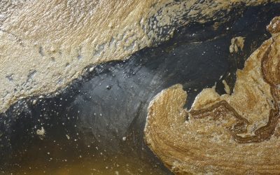 Eliminate Unpleasant Smells with the Best Air Conditioner Odor Eliminator for Your Home