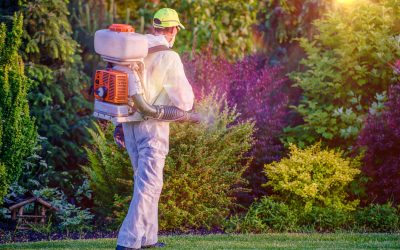 Effective lawn care begins with Grub Control in Mt. Washington, KY, for lasting results