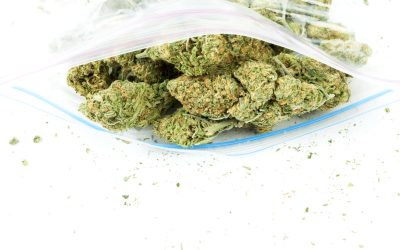 Uncover the Best Ways to Find Quality Cannabis Near Steamboat Springs CO for Your Wellness Needs