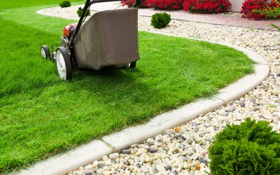 Boost Curb Appeal Effortlessly Using Landscaping Services Kawartha Lakes Expertise