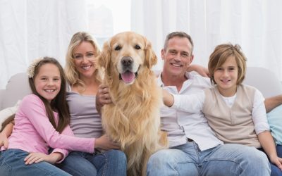 Experience hassle-free living with pet friendly apartments for rent Charlotte NC families love