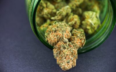 Save Money and Enjoy Convenience with the Best THCA Disposable Vape Available Online